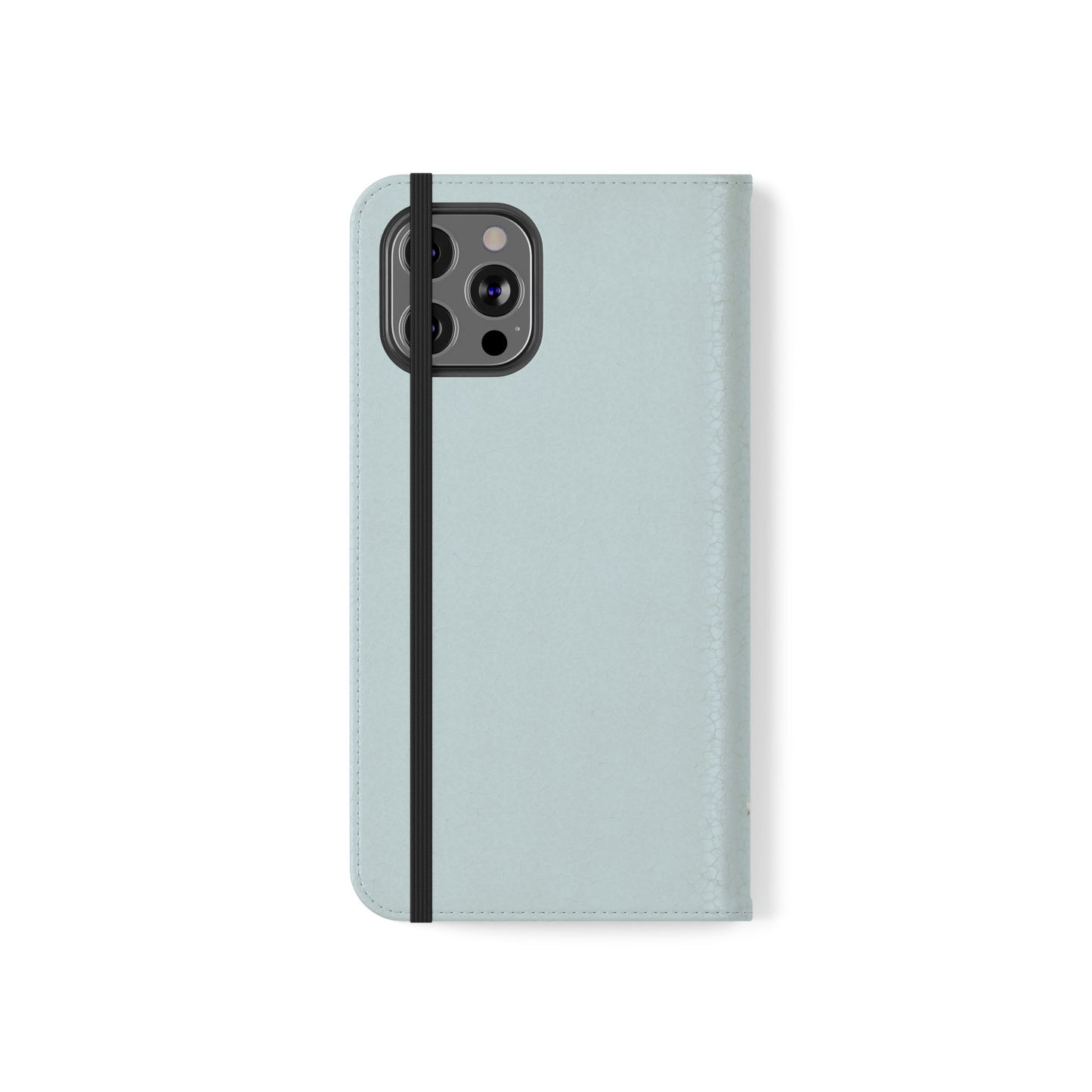 Wallet Flip in Blue Sky